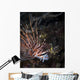Lionfish North Sulawesi Indonesia Wall Decal