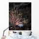 Lionfish North Sulawesi Indonesia Wall Decal