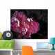 Leaf Scorpionfish Komodo National Wall Decal