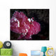 Leaf Scorpionfish Komodo National Wall Decal