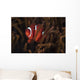Tomato Clownfish North Sulawesi Wall Decal