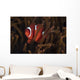 Tomato Clownfish North Sulawesi Wall Decal