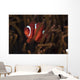 Tomato Clownfish North Sulawesi Wall Decal