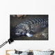 Sandperch Komodo National Park Wall Decal