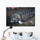 Sandperch Komodo National Park Wall Decal