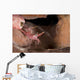Hinge-beak Shrimp North Sulawesi Wall Decal