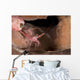 Hinge-beak Shrimp North Sulawesi Wall Decal