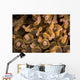 Bubble-tip Anemone Komodo National Wall Decal