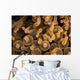 Bubble-tip Anemone Komodo National Wall Decal
