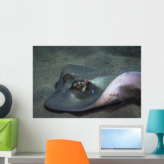 Blue Spotted Sting Ray Wall Decal
