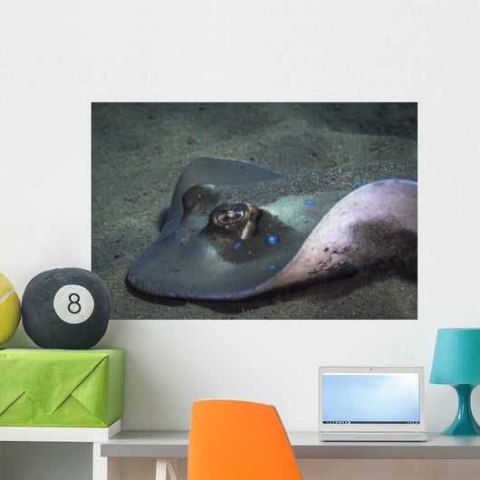 Blue Spotted Sting Ray Wall Decal