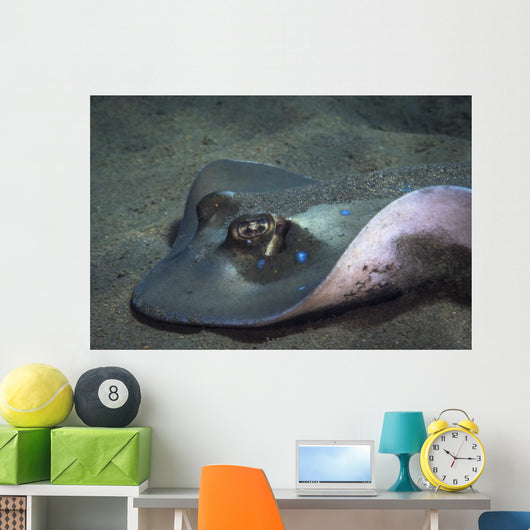 Blue Spotted Sting Ray Wall Decal