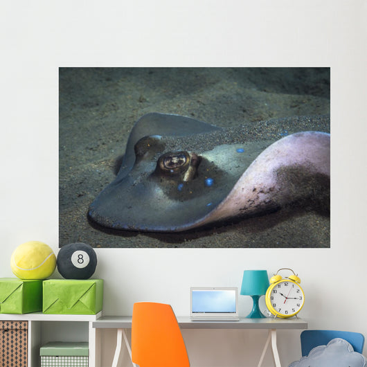 Blue Spotted Sting Ray Wall Decal