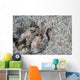 Mantis Shrimp Komodo National Wall Decal