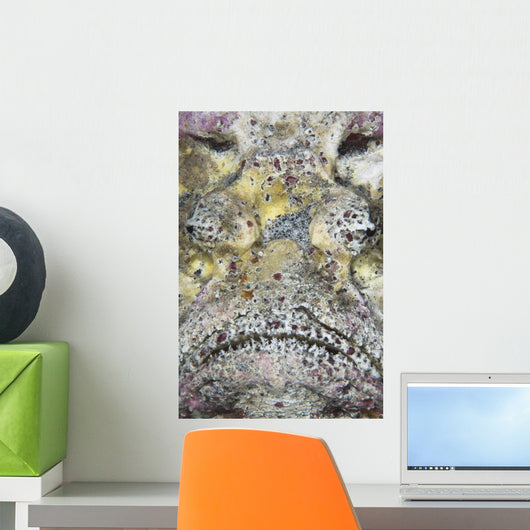 Stonefish Komodo National Park Wall Decal