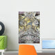 Stonefish Komodo National Park Wall Decal
