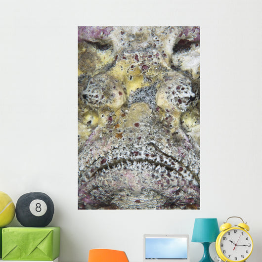 Stonefish Komodo National Park Wall Decal