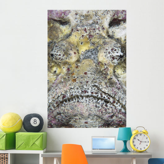 Stonefish Komodo National Park Wall Decal