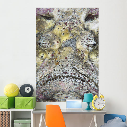 Stonefish Komodo National Park Wall Decal