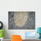 Stargazer Komodo National Park Wall Decal
