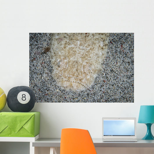 Stargazer Komodo National Park Wall Decal