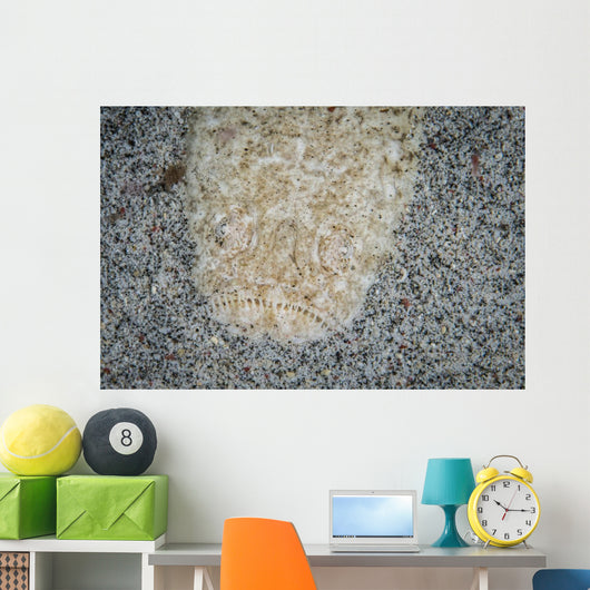 Stargazer Komodo National Park Wall Decal