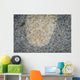 Stargazer Komodo National Park Wall Decal