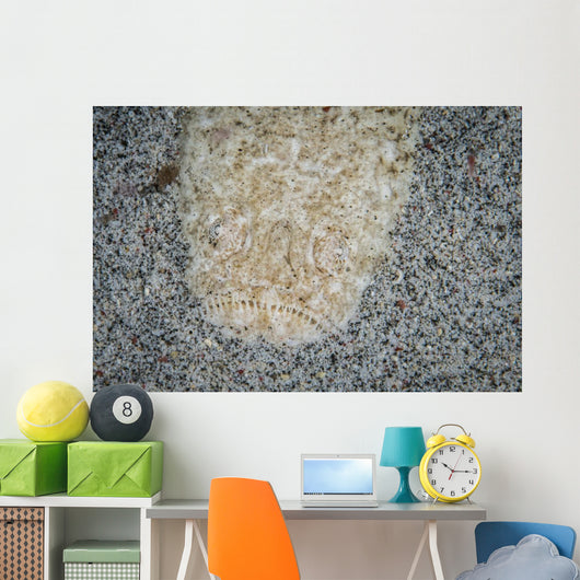 Stargazer Komodo National Park Wall Decal