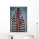 Crab Komodo National Park Vertical Wall Decal