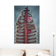 Crab Komodo National Park Vertical Wall Decal