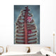 Crab Komodo National Park Vertical Wall Decal