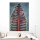 Crab Komodo National Park Vertical Wall Decal