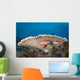 Squirrelfish Reef Komodo National Park Close-up Wall Decal