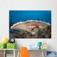 Squirrelfish Reef Komodo National Park Close-up Wall Decal