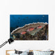 Squirrelfish Reef Komodo National Park Wall Decal