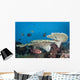 Soldierfish Reef Komodo National Park Wall Decal