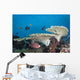 Soldierfish Reef Komodo National Park Wall Decal