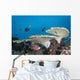 Soldierfish Reef Komodo National Park Wall Decal