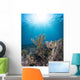 Reef Scene Komodo National Sunbeams Wall Decal