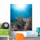Reef Scene Komodo National Sunbeams Wall Decal