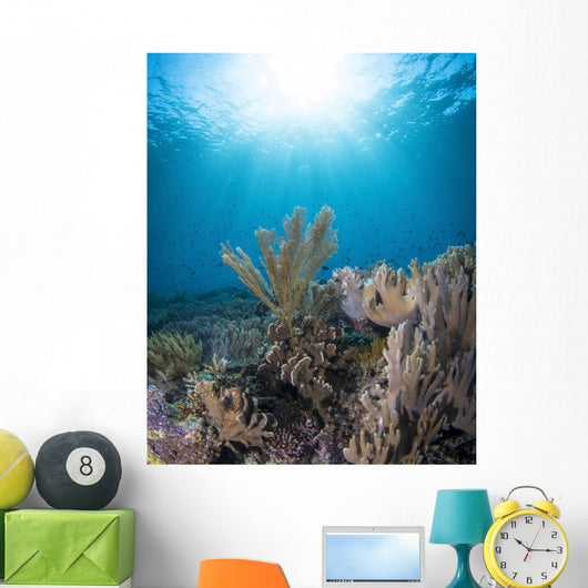 Reef Scene Komodo National Sunbeams Wall Decal