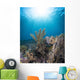 Reef Scene Komodo National Sunbeams Wall Decal