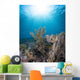 Reef Scene Komodo National Sunbeams Wall Decal