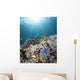 Starfish Reef Komodo National Wall Decal