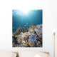 Starfish Reef Komodo National Wall Decal