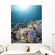 Starfish Reef Komodo National Wall Decal