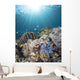 Starfish Reef Komodo National Wall Decal