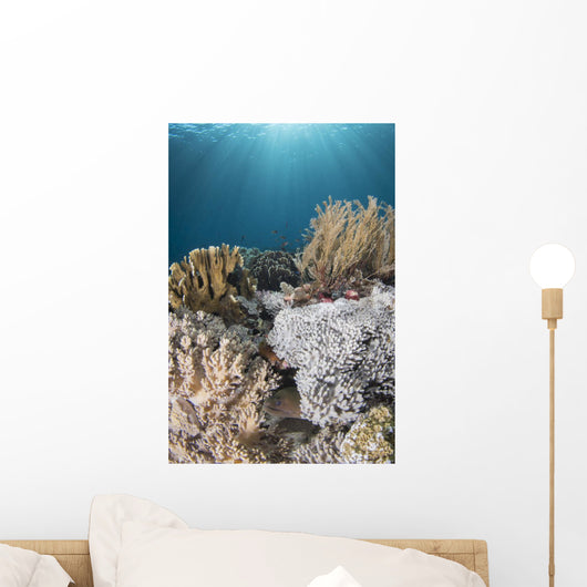 Hiding Eel in Reef Komodo National Wall Decal