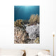 Hiding Eel in Reef Komodo National Wall Decal