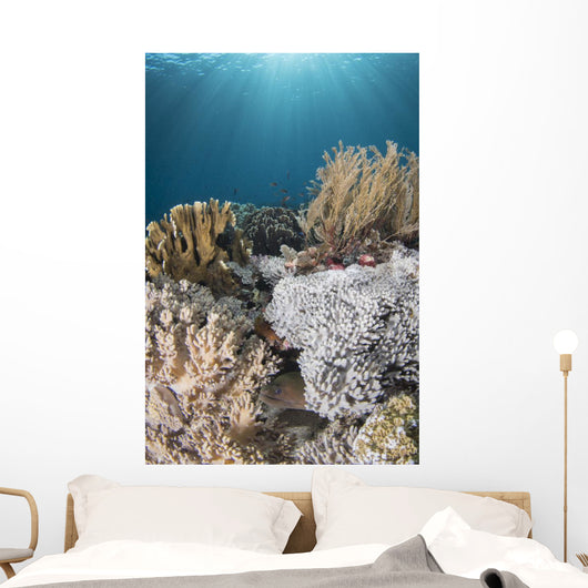 Hiding Eel in Reef Komodo National Wall Decal